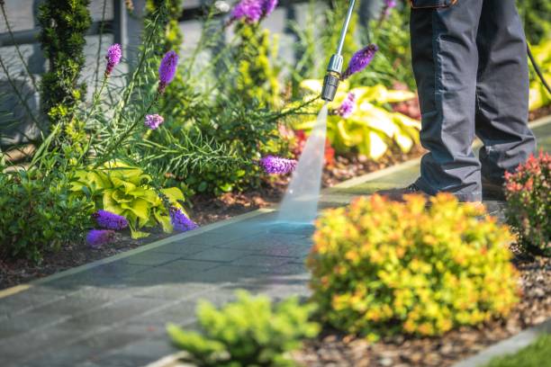 Best Sidewalk and Walkway Cleaning  in Pacifi, CA