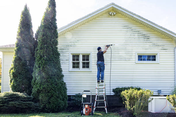 Best Gutter Cleaning  in Pacifi, CA